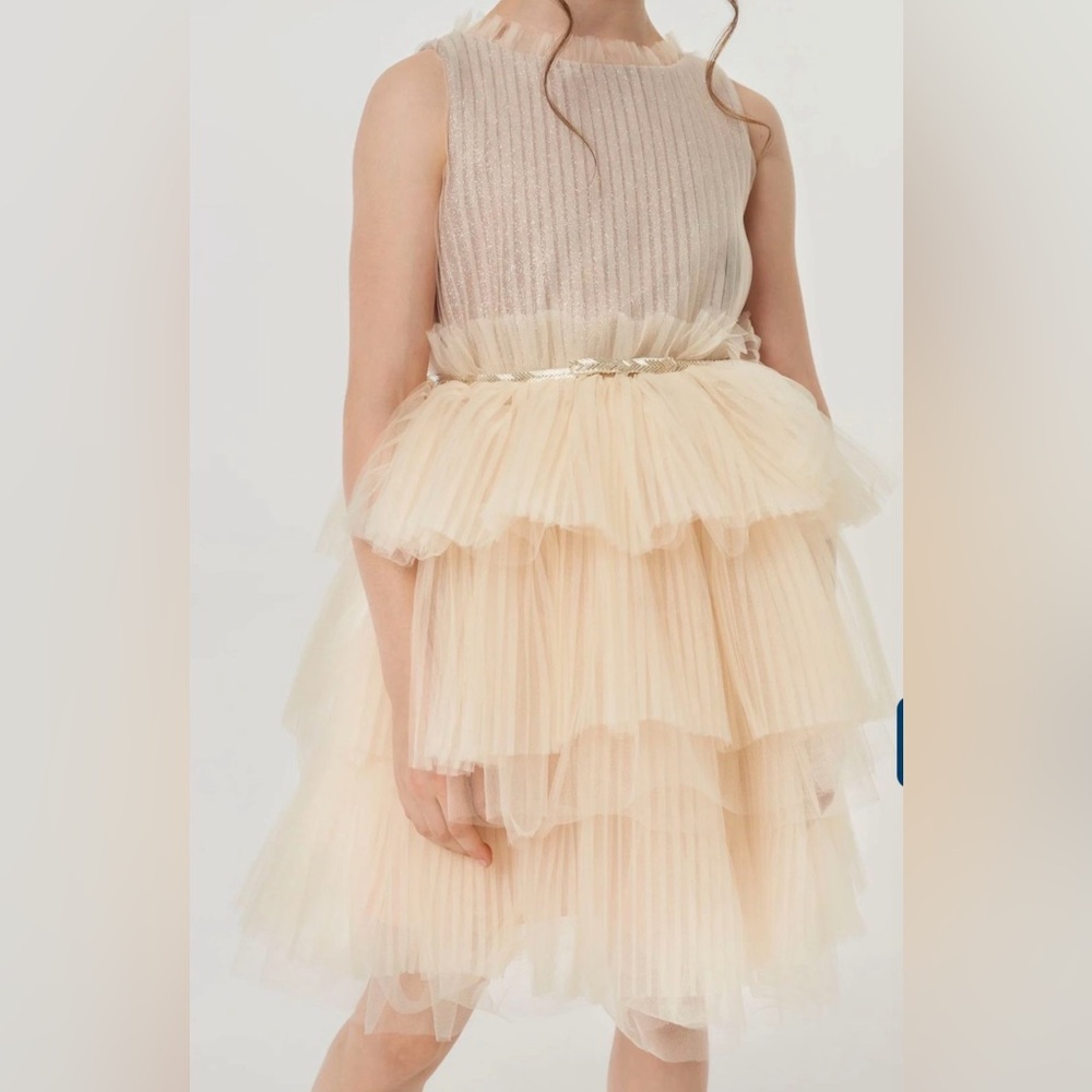 Elegant Cream Tiered Tulle Dress